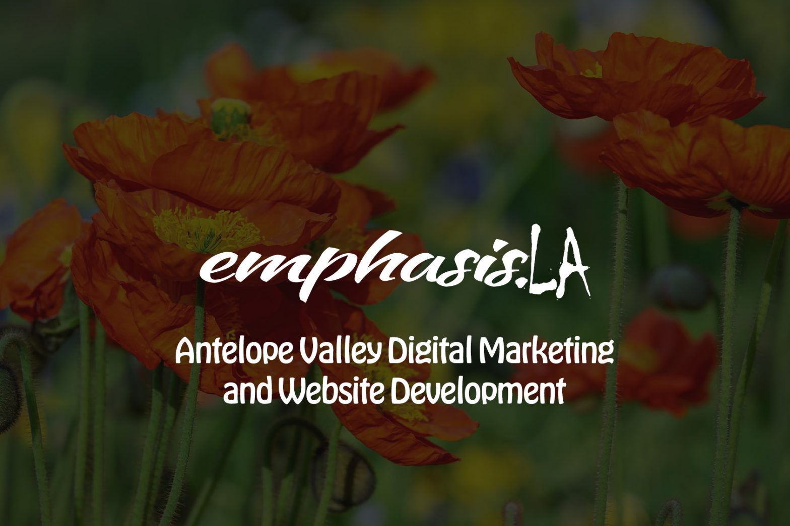 several poppies in the background. Text in foreground: Emphasis.LA Antelope Valley Digital Marketing and Website Development