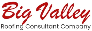 Text reads Big Valley Roofing Consulting Company forming the logo.